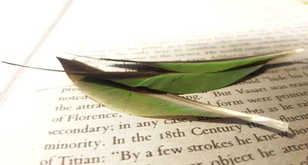 Green feathers from a West Coast parrot lie across a page in artist Trinh Mai's studio, suggesting migration and travel.