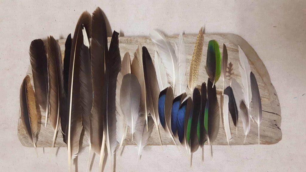 Trinh Mai gathers feathers to create arrows for an art installation in her studio in Southern California. Image courtesy of the artist