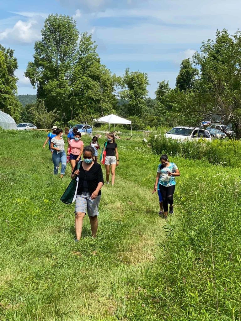 Youth leaders, teachers and students in Multicultural Bridge's Happiness Toolbox program walk through the fields on a sunny day.