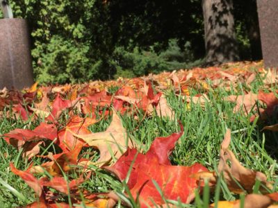 Fall foliage in Williamstown