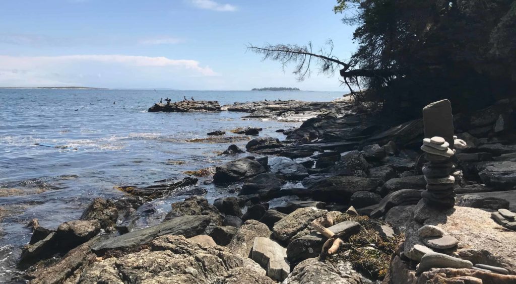 Cormerants gather on the Maine coast at the La Verna nature preserve.