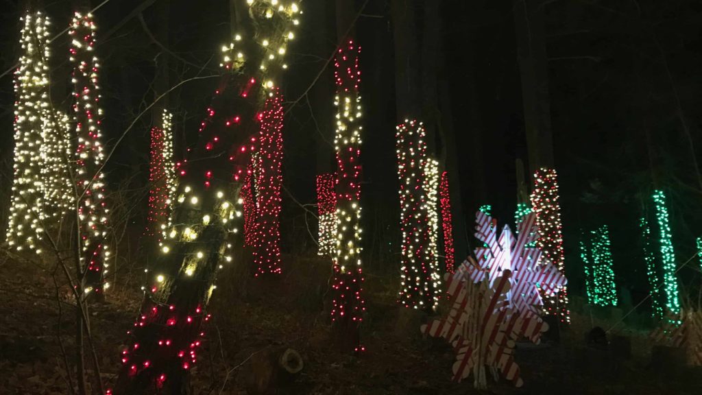 Candy-striped trees glow at Winterlights at Naumkeag.