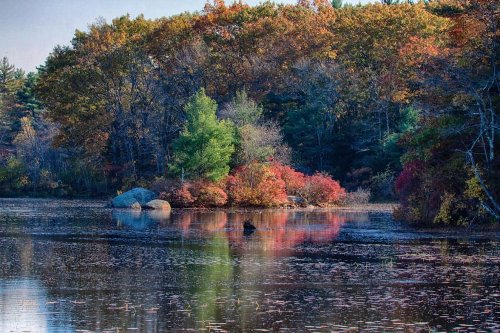 Fall color shows by the water in Harold Parker State Forest. Creative Commons Courtesy Photo