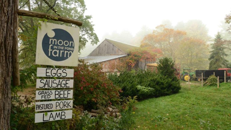 Moon in the Pond Farm in Egremont offers quiet on a misty fall morning in the Berkshire Farm Table Cookbook.