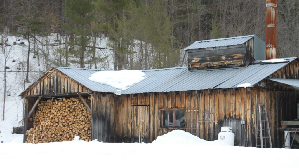 A wood-fired sap house boils sap into maple syrup in early spring.