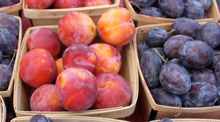 Plums gleam in purple and gold at a farmers market table.