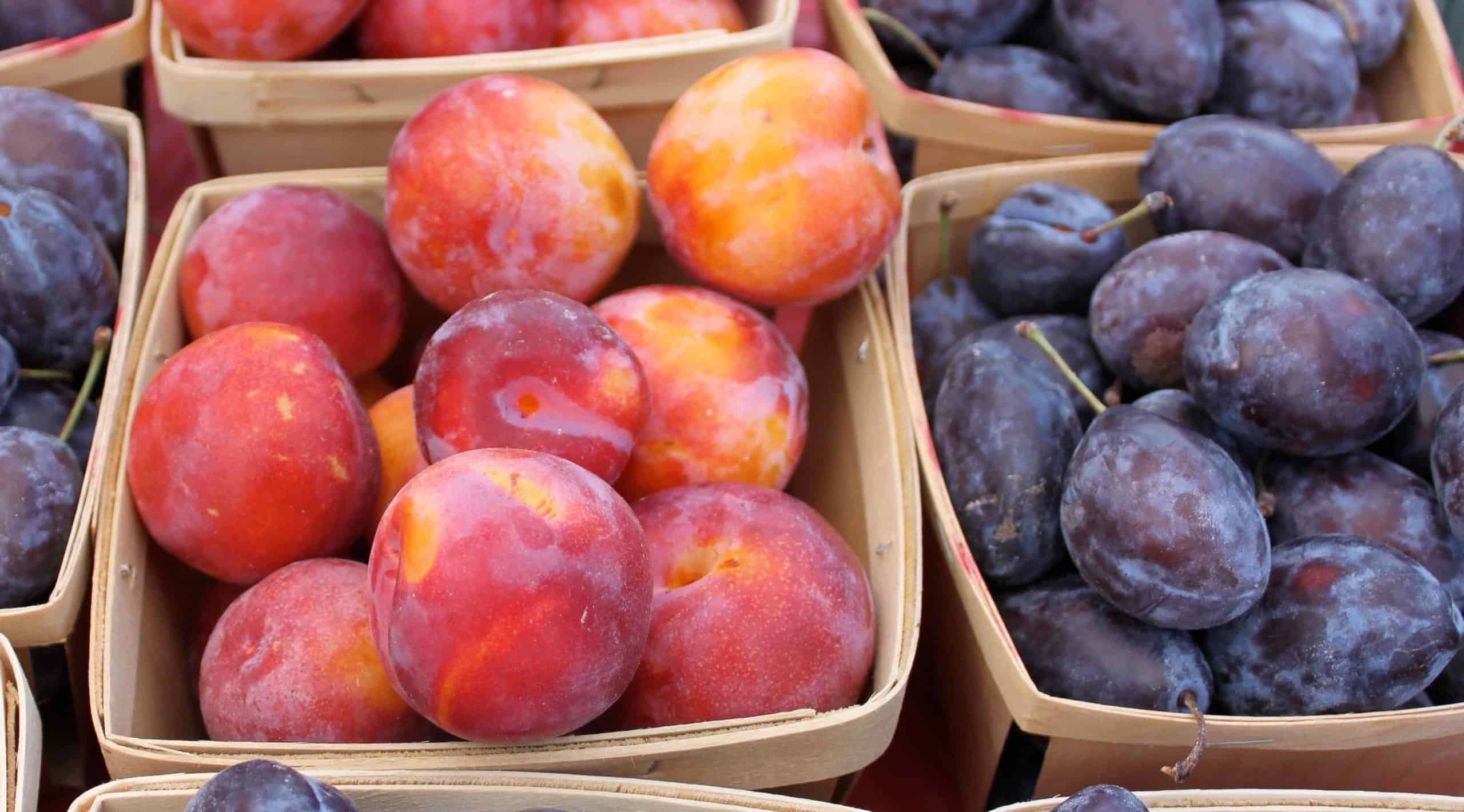 Plums gleam in purple and gold at a farmers market table.