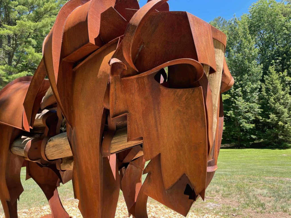 Jamie Burnes' sculpture Effram, a life-sized bison made of Corten steel and locust wood, stands at the Mount this summer.