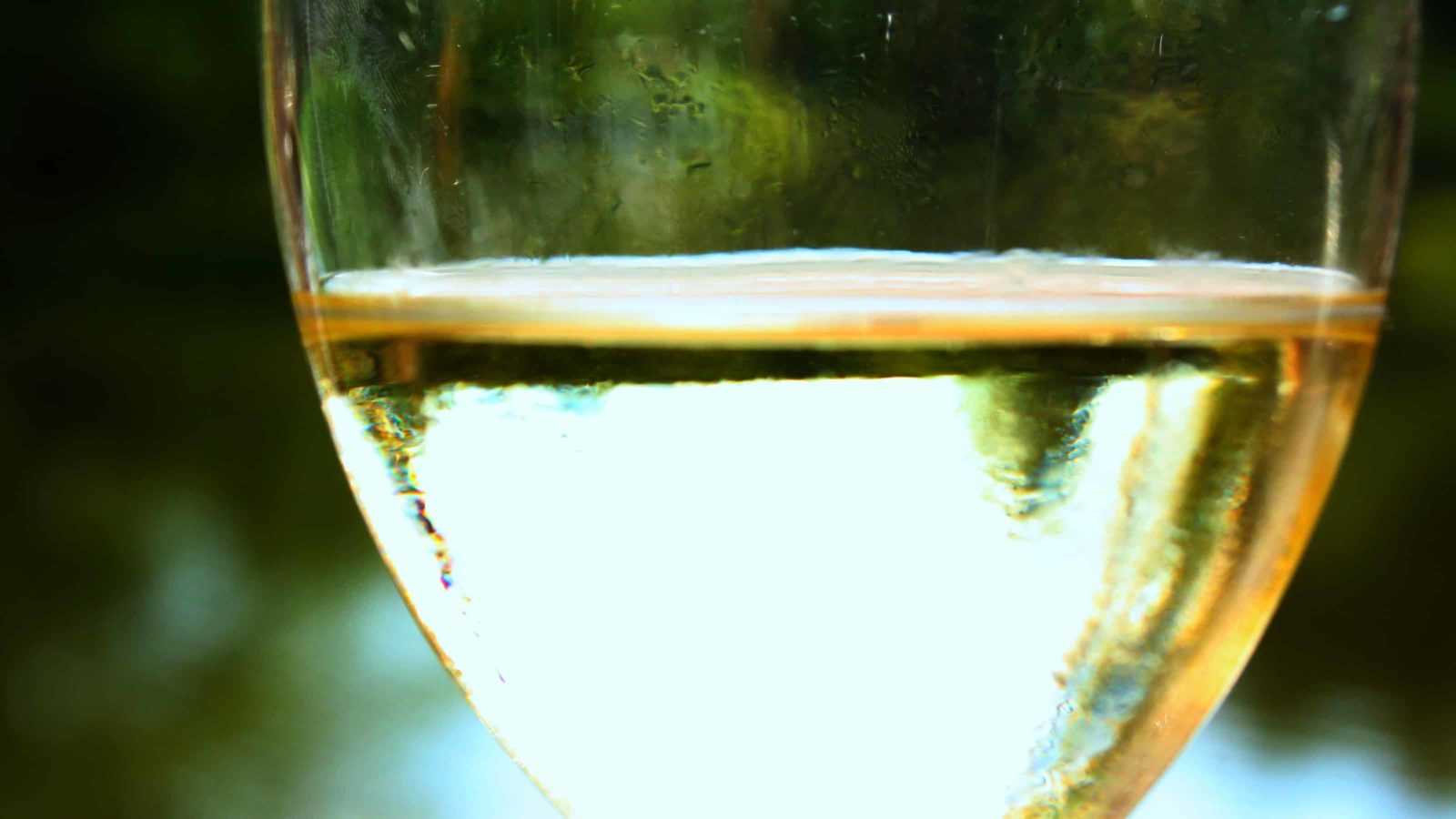 A glass of white wine shimmers against dark green trees. Creative Commons courtesy photo