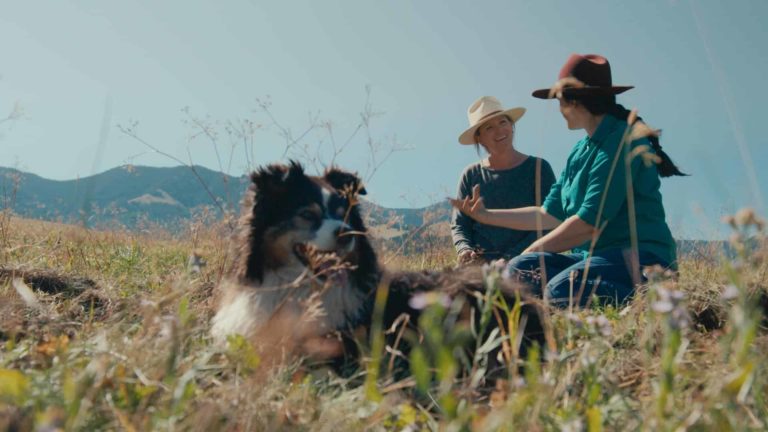 The film To Which We Belong follows farmers and ranchers moving toward regenerative farming techniques.