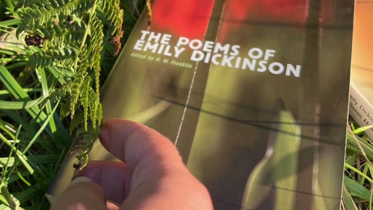 A reader touches Emily Dickinson's poems as they lie in the grass in the sunlight.