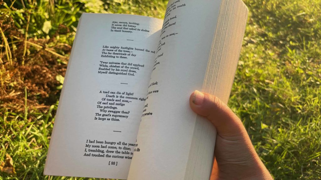 A reader holds Emily Dickinson's poems in the sunlight.
