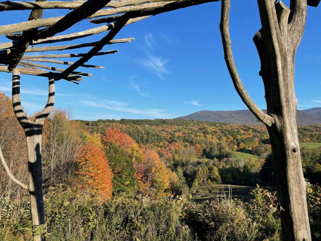 A wooden trellis frames the fall trees at Williamstown Rural Lands, as wildflowers show their seed heads.