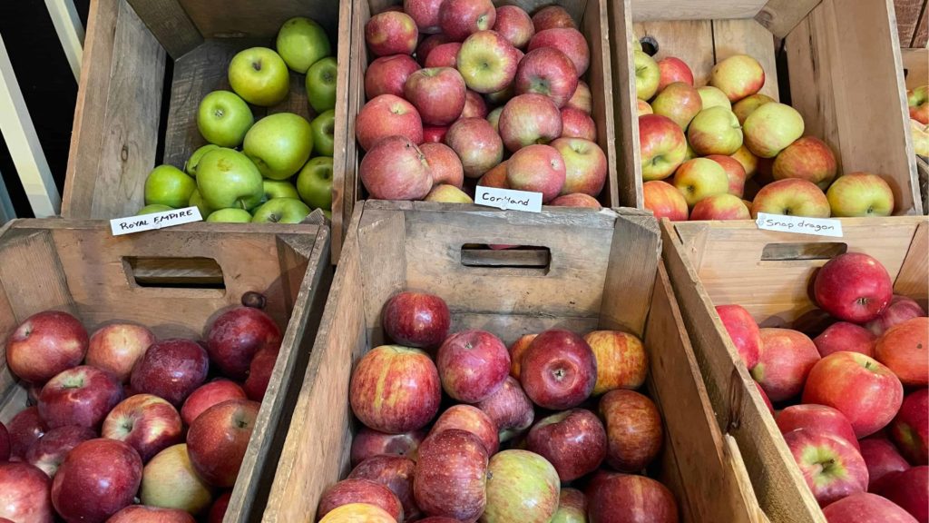 Apples pile in wooden bins in the winter market at Windy Hill in Stockbridge.