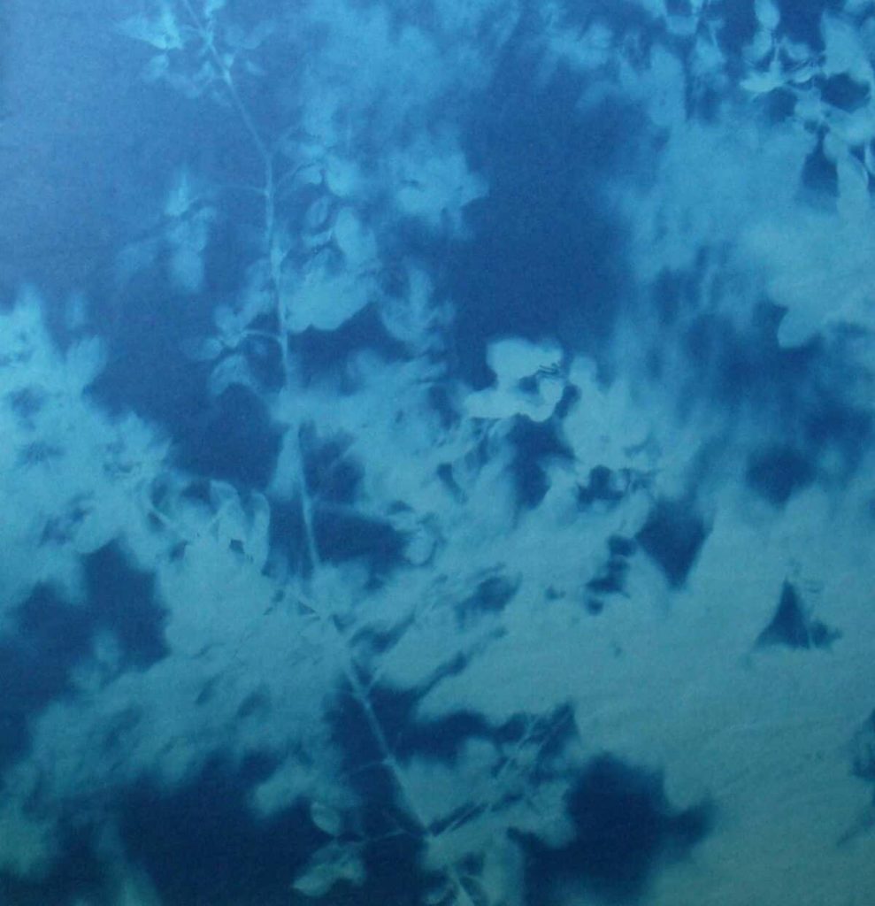 Tom Fels' cyanotype shows leaves from his arbor series in abstract shades of blue. Press image courtesy of Bennington Museum