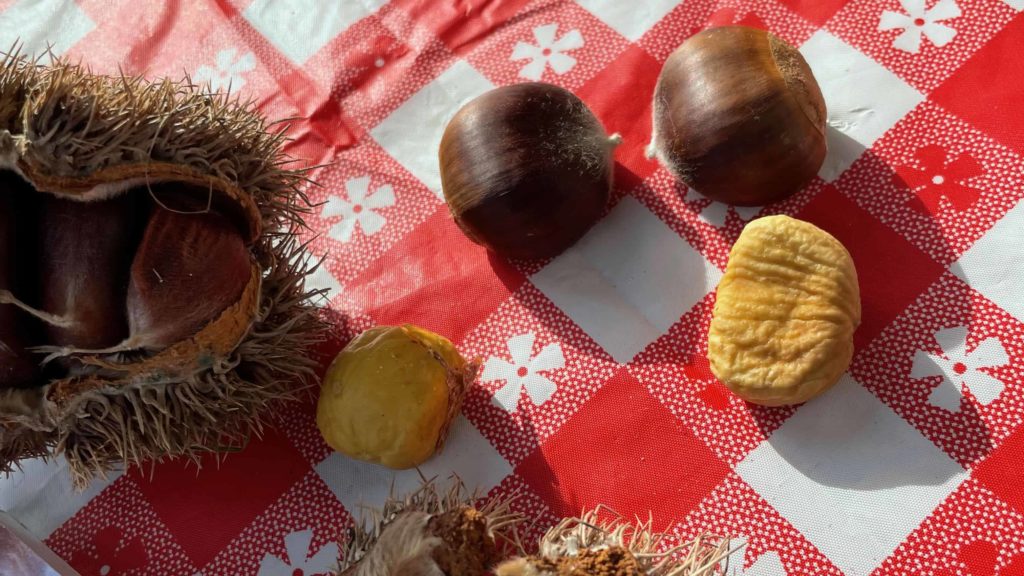 Chestnuts sit in and out of their husks, beside the spiky outer shell.
