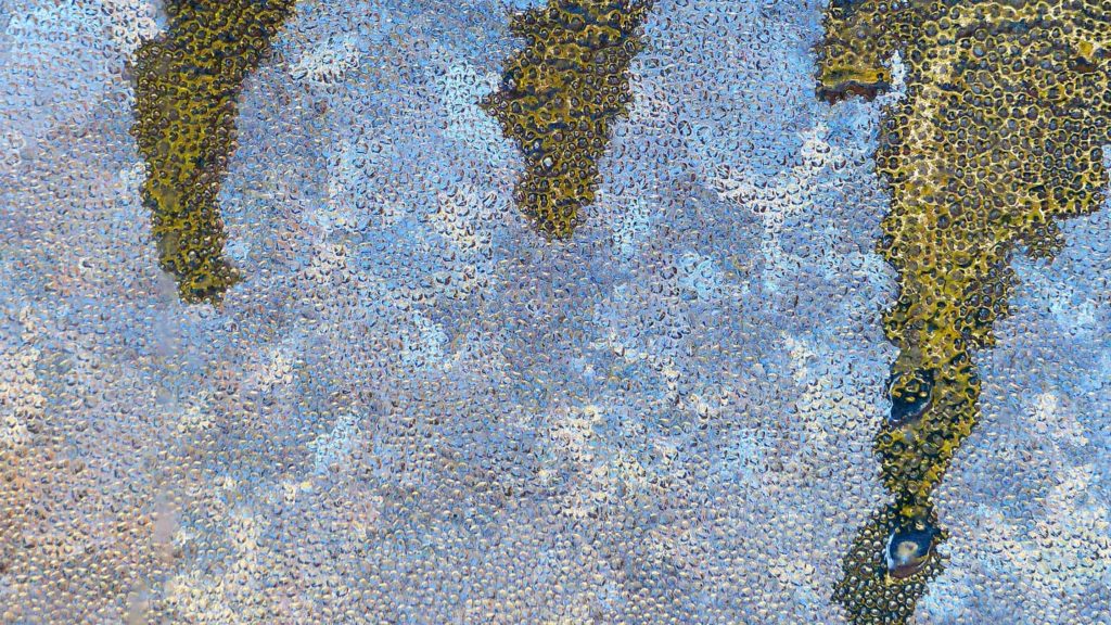 Leslie Parke's Fall Frost turns ice on glass into abstract patterns of light and color. Press image courtesy of Bennington Museum