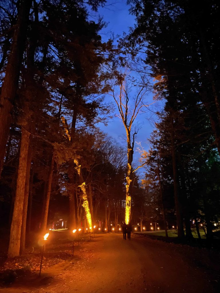 Torches light the long road through the woods in NightWood at the Mount.