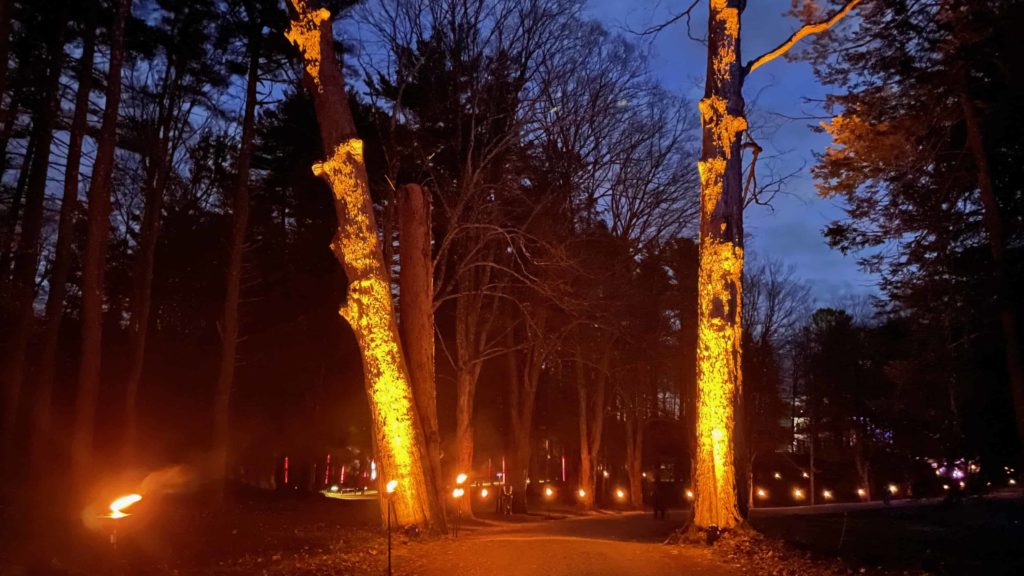 Torches illuminate two trees like the columns of a broad doorway in NightWood at the Mount.