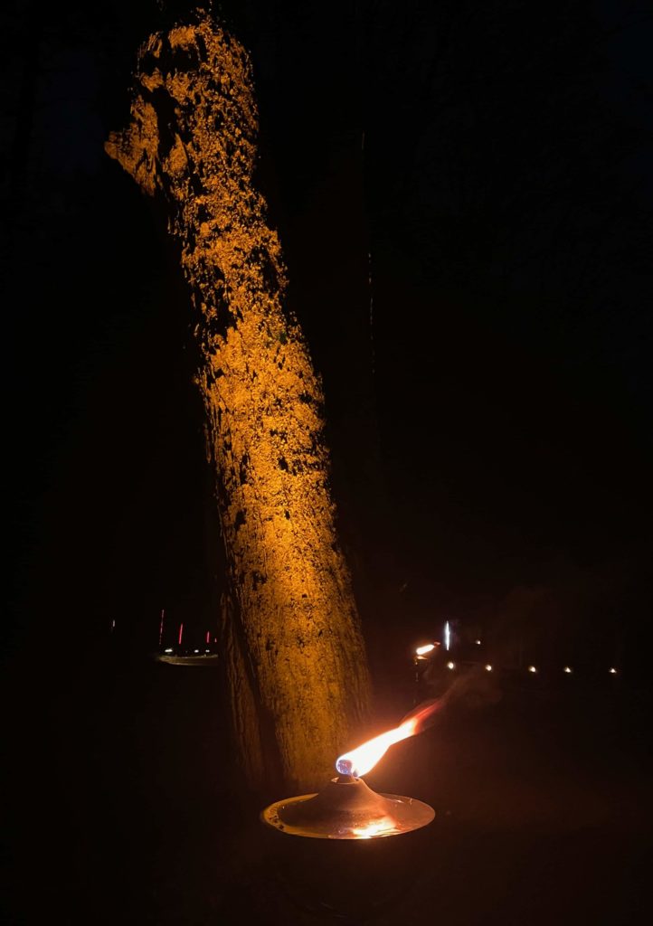 Firelight glows against a tree trunk in NightWood at the Mount.