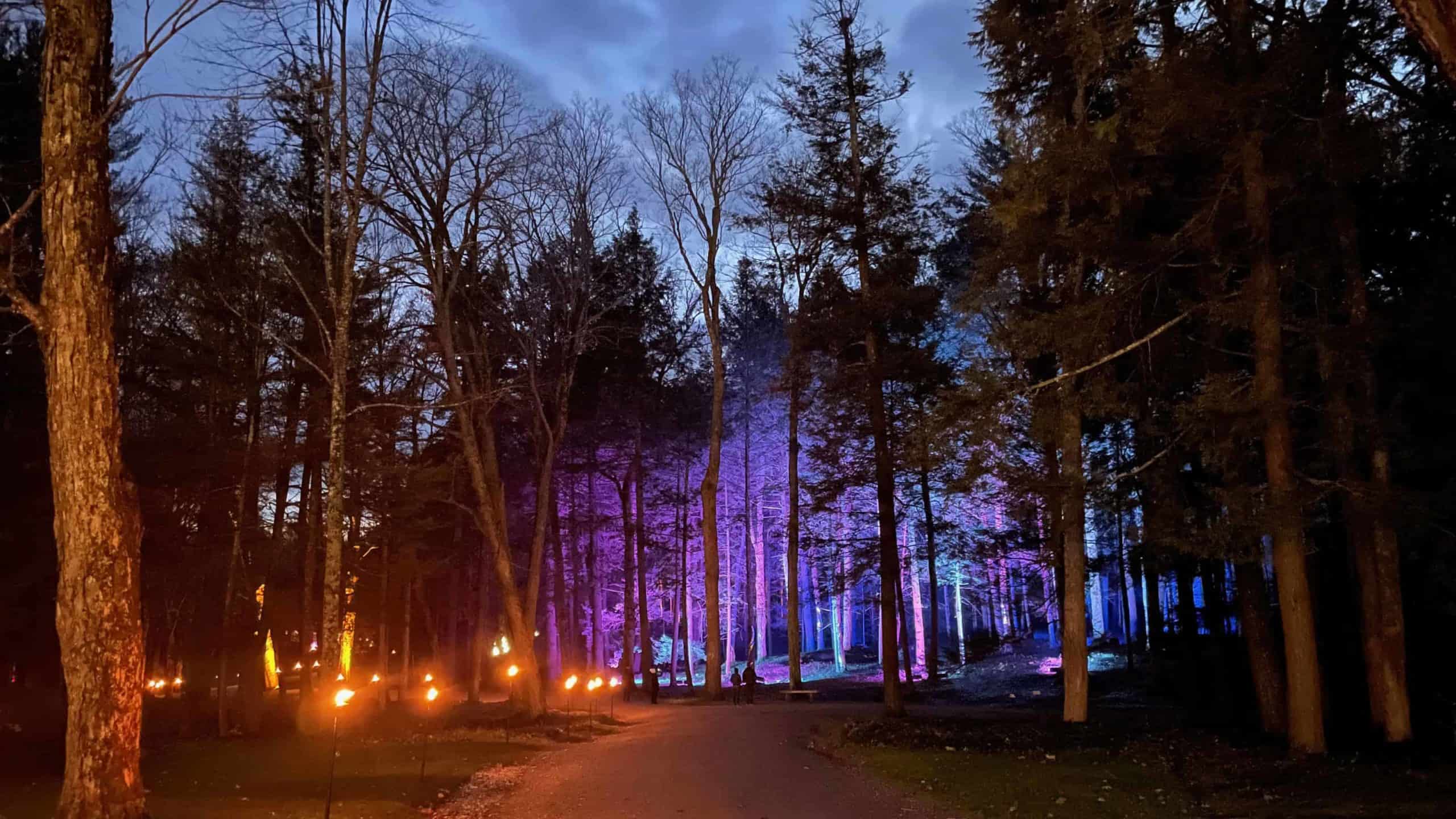 Torches light the way as the woods take on a deep purple light in NightWood at the Mount.