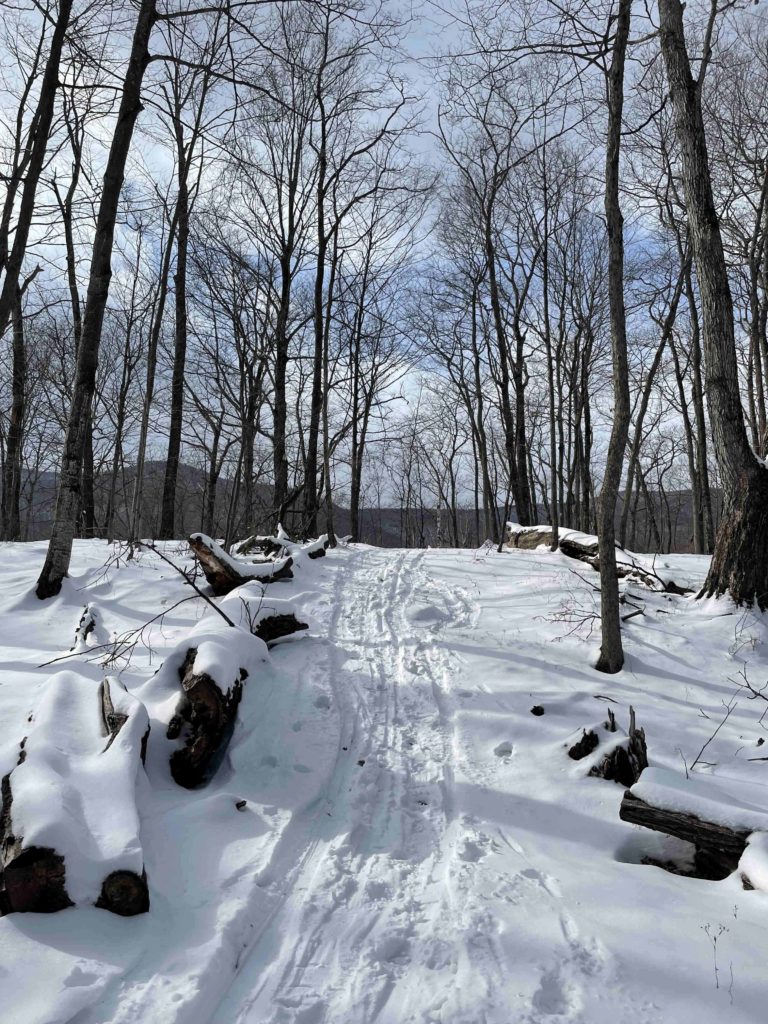 Trails lead from the fields through the wood and show ski tracks in the snow at Field Farm in Williamstown.