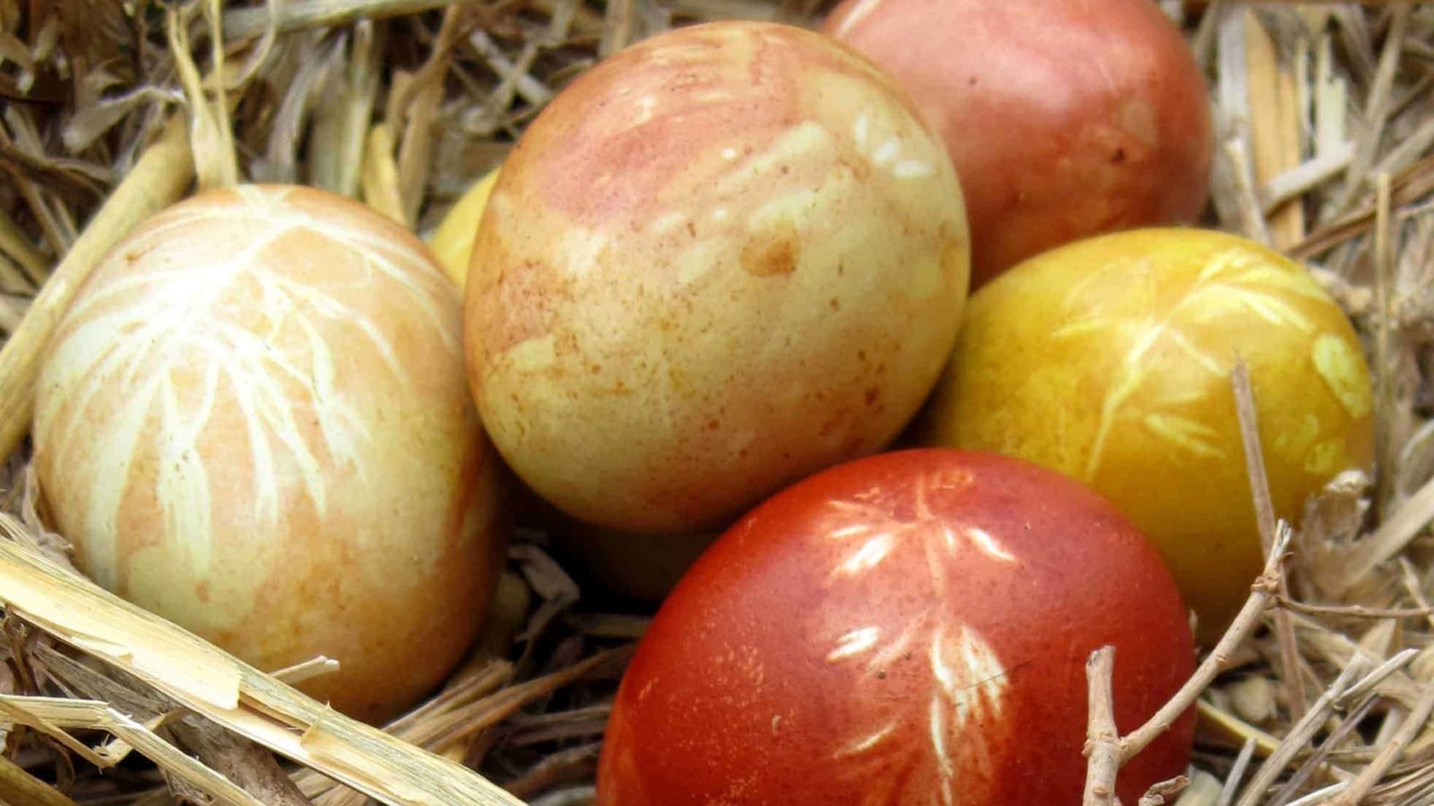 Easter eggs dyed with onion skin show light patterns of leaves against deep red and gold color.
