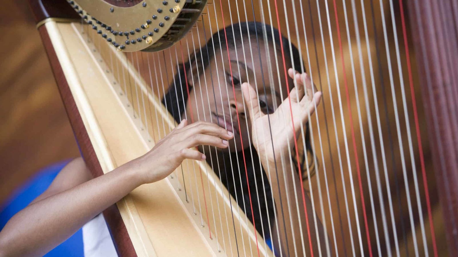Musicians rehearse with a Boston University Tanglewood Institute harp workshop. Press photo courtesy of BUTI