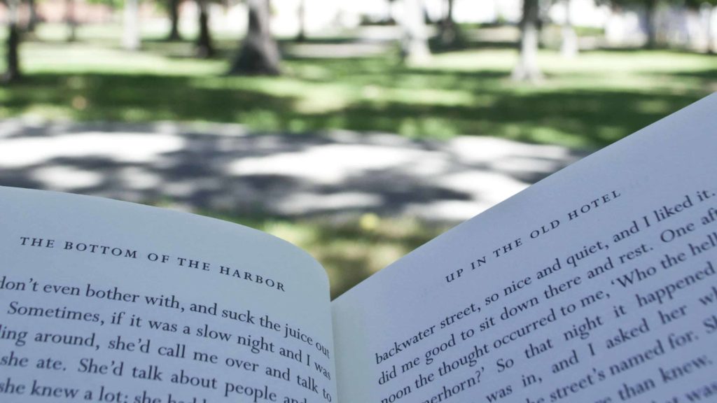 A book lies open in a sunny open space surrounded by trees.