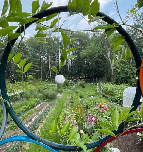 Seen through a sculpture of found and painted tires, the gardens bloom at 328North.