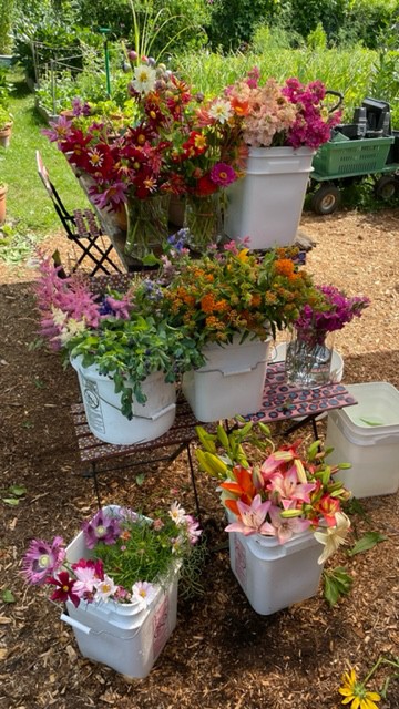 Buckets of flowers show a bright harvest at 328North.