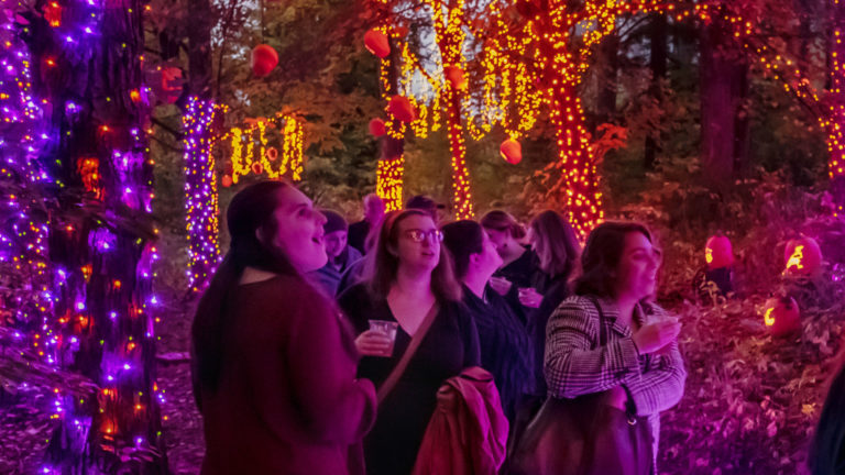 Visitors gaze at the lights in the annual pumpkin show at Naumkeag. Press photo courtesy of Trustees of Reservations.