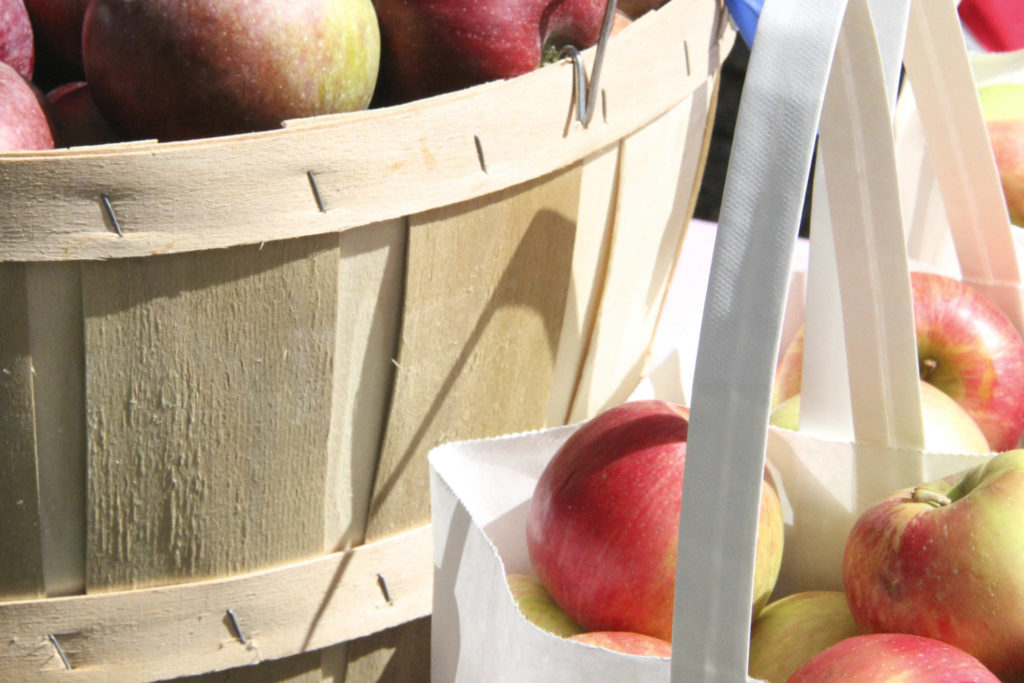 Bushels of apples stand crisp and sweet at the Lenox Apple Squeeze. Press photo courtesy of the artist