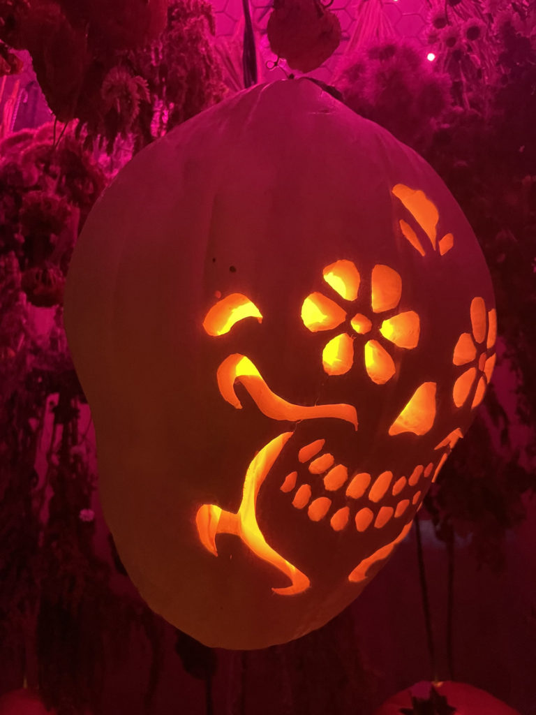 A jack-o-lantern glows with a flower-petalled for skeleton Dia de Los Muertos at the Naumkeag pumpkin show.