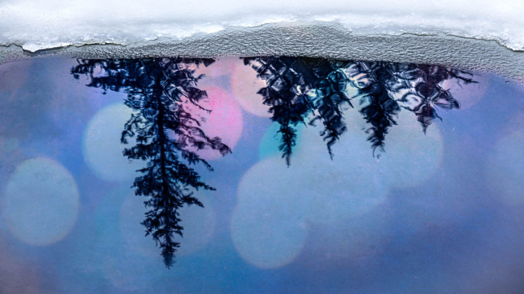 Evergreen trees reflect in ice-rimmed water on a winter day in an image at the Southern Vermont Arts Center. Press photo courtesy of SVAC