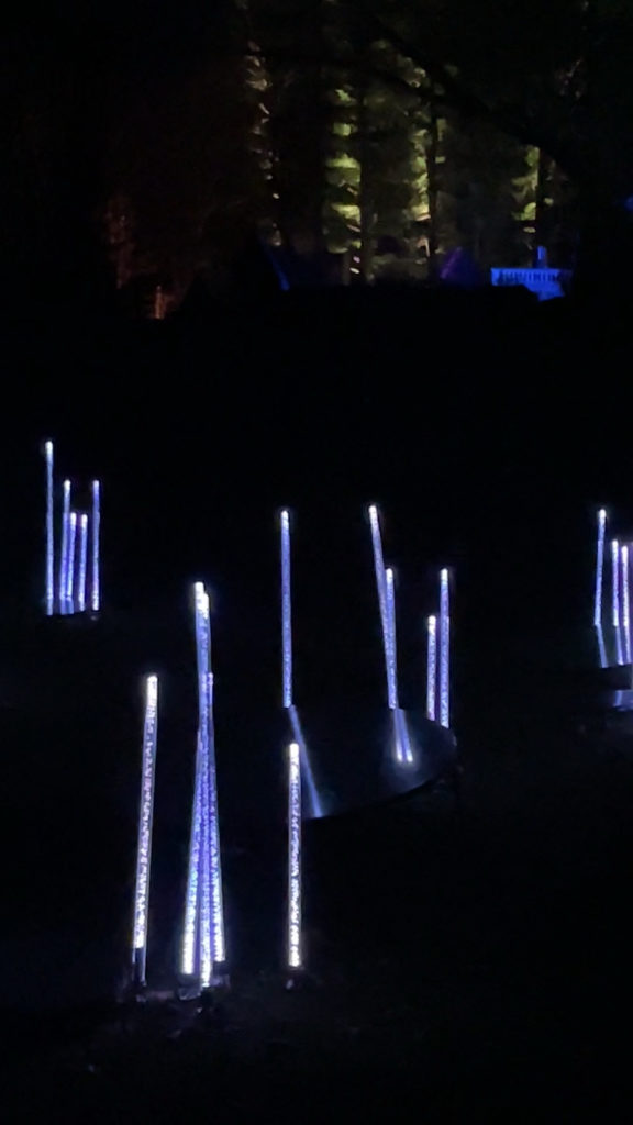 Long tapering forms glow like reeds around a pool at Nightwood.