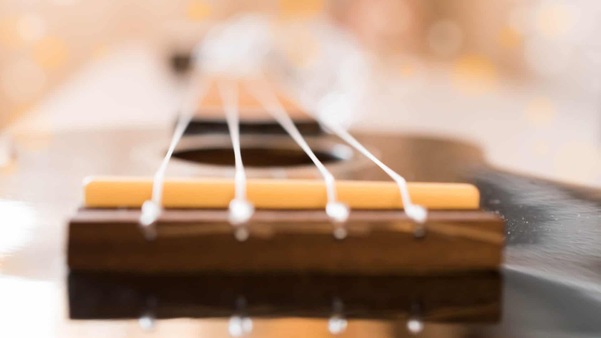 Be bridge of a ukulele slides into soft light. Creative Commons courtesy photo