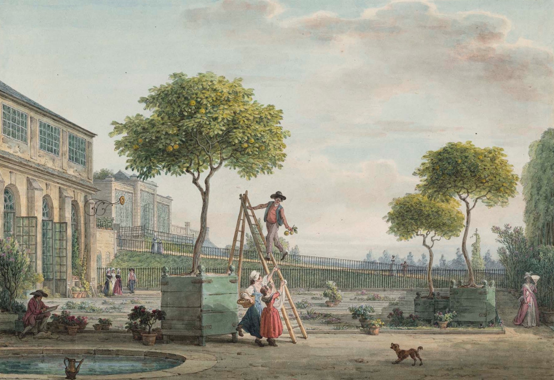 Jean-Baptiste Hilair sketches gardeners picking fruit in the Orangerie in the Jardin des Plantes. Drawing in the collection of the Bibliothèque nationale de France, press photo courtesy of the Clark Art Institute
