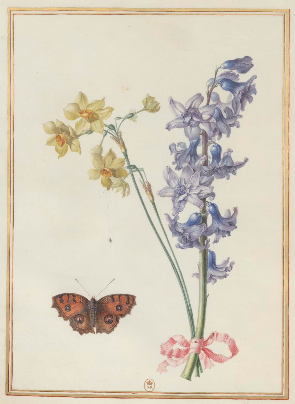 Madeleine Françoise Basseporte's drawing of hyacnths, narcissus and a moth in her 18th century album of flowers. Drawing in the collection of the Bibliothèque nationale de France, press photo courtesy of the Clark Art Institute