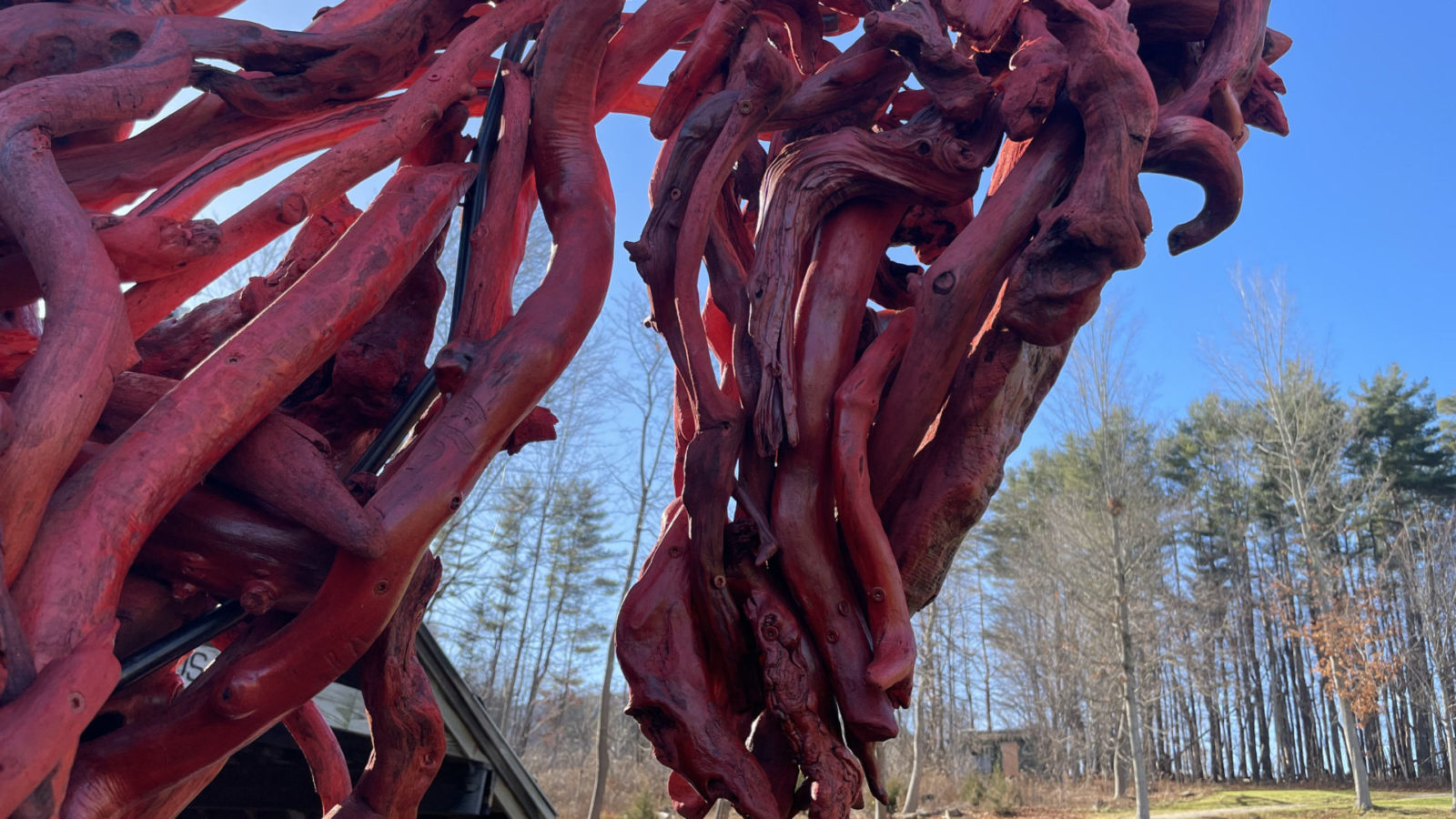 A horse sculpture made of scarlet vines canters at the foot of the hill at the Bennington Museum.