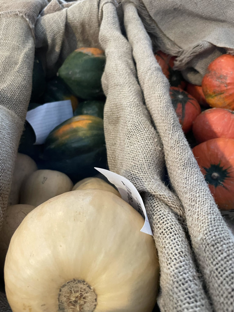 Winter squash show vivid color in the barn at Moon in the Pind Farm.