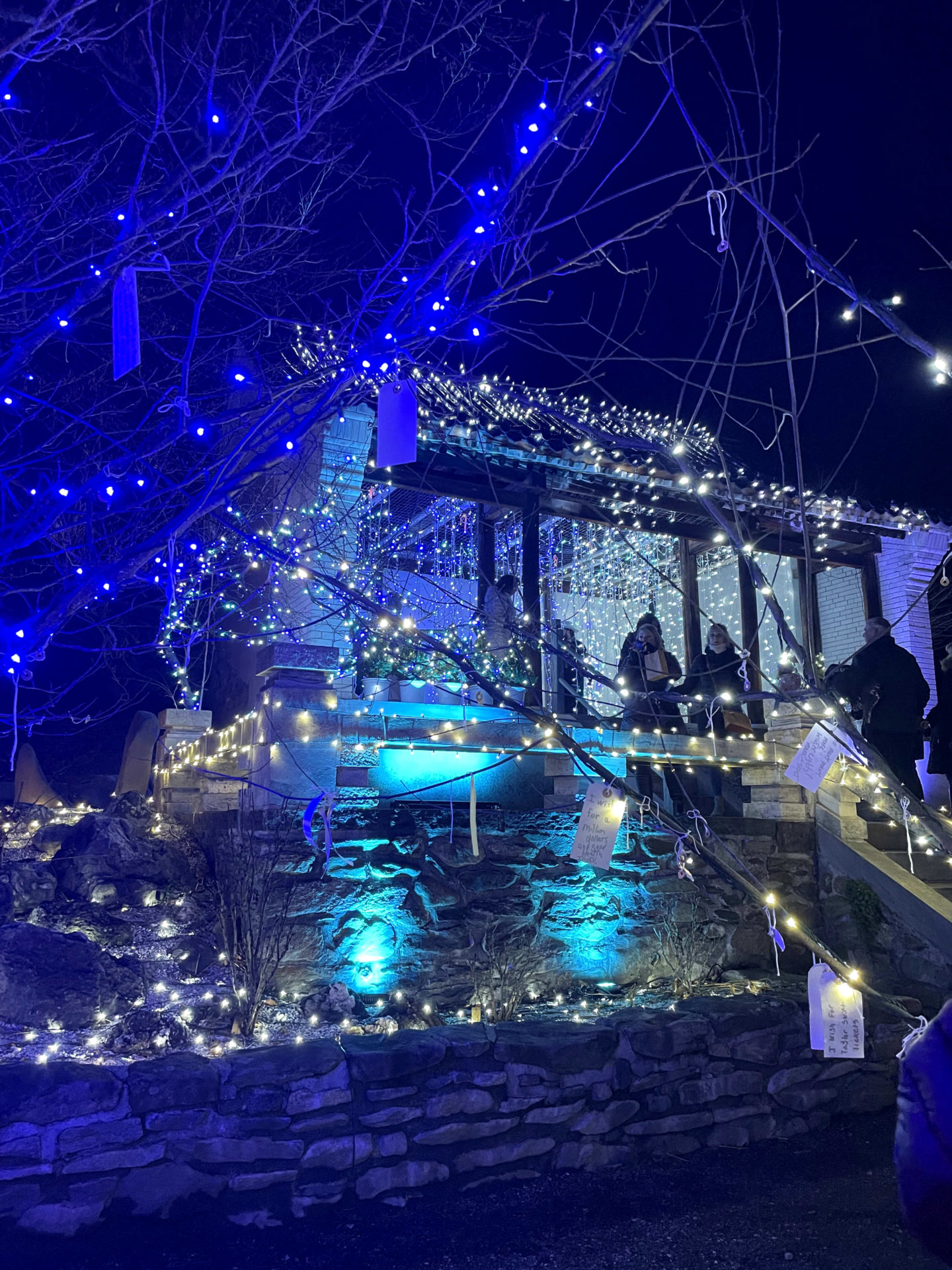 The Chinese garden gleams in blue and silver at Winterlights at Naumkeag.