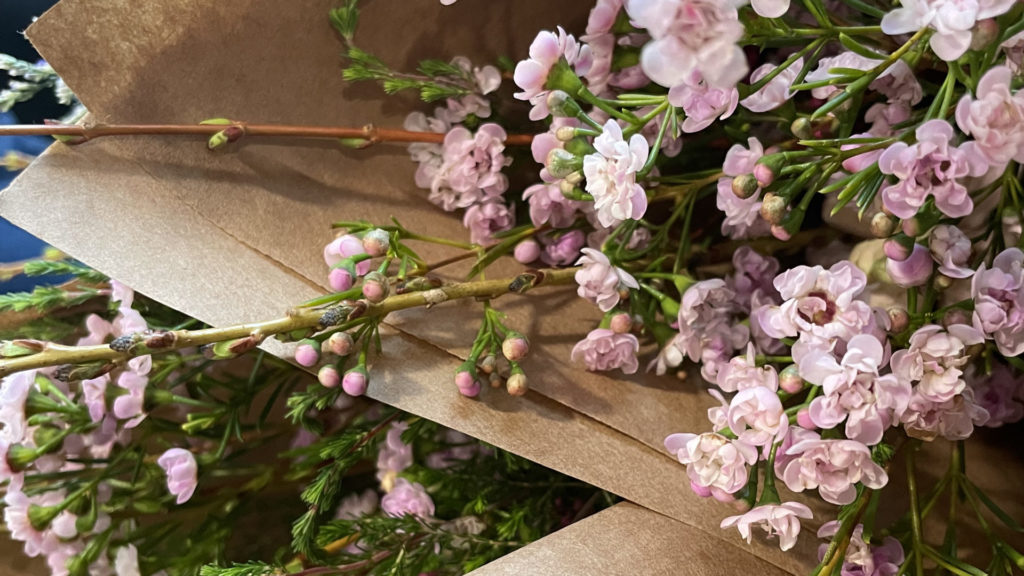Bouquets of blossoming branches rest in brown paper at the Plant Connector.