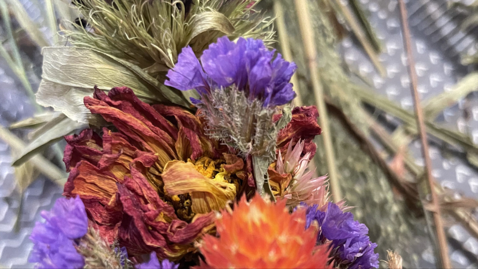 Dried flowers show vivid color in a workshop on making flower crowns with Full Well Farm at the Plant Connector in North Adams.
