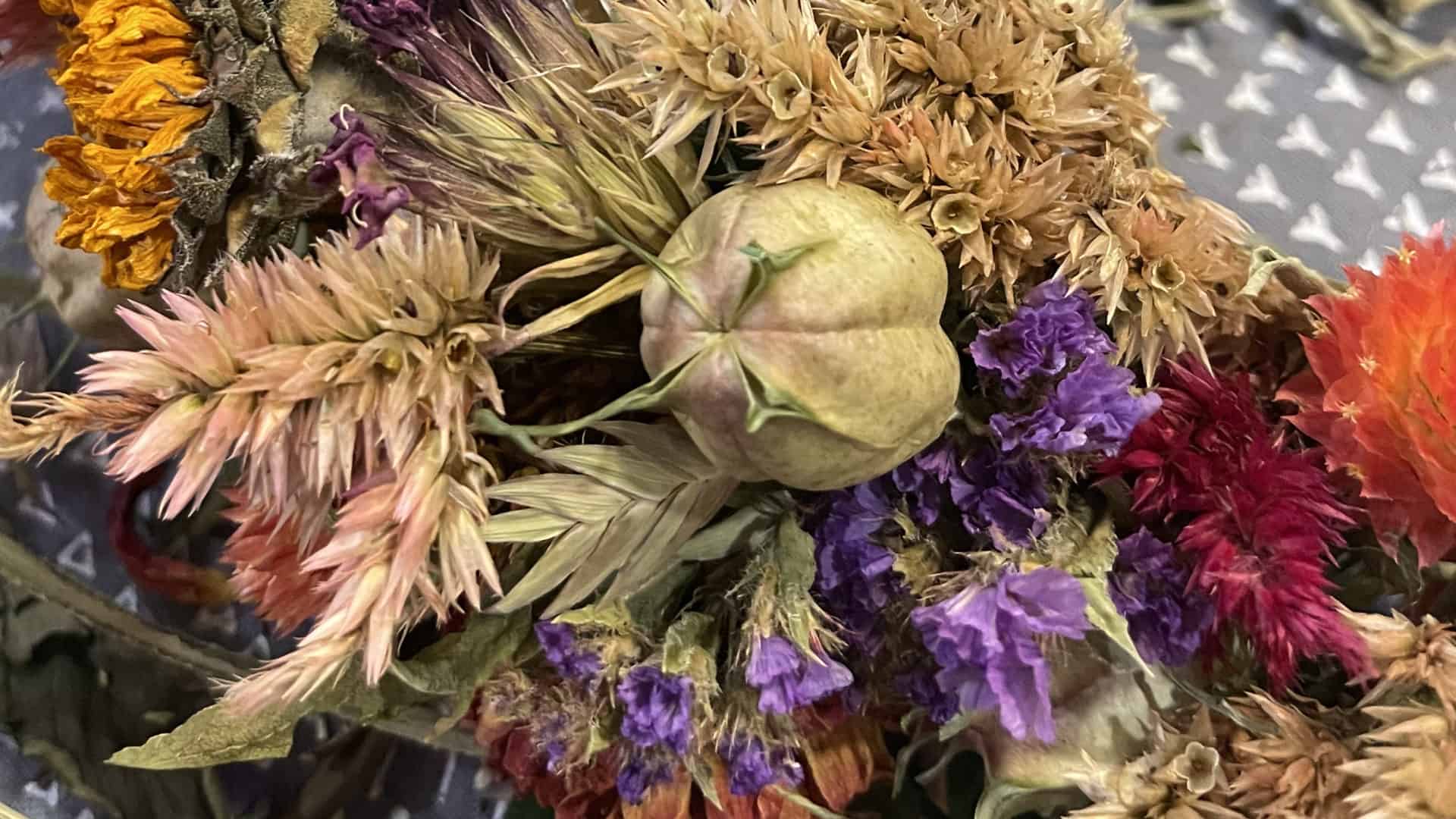 Dried flowers show vivid color in a workshop on making flower crowns with Full Well Farm at the Plant Connector in North Adams.
