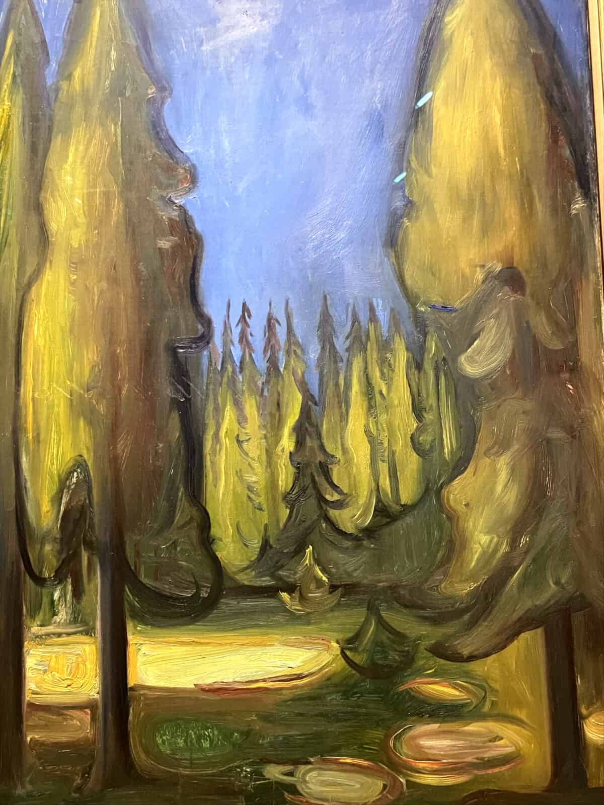 Edvard Munch's Dark Spruce Forest (1899) shows trees tall and glimmering in the dusk. Press photo courtesy of the Clark Art Institute