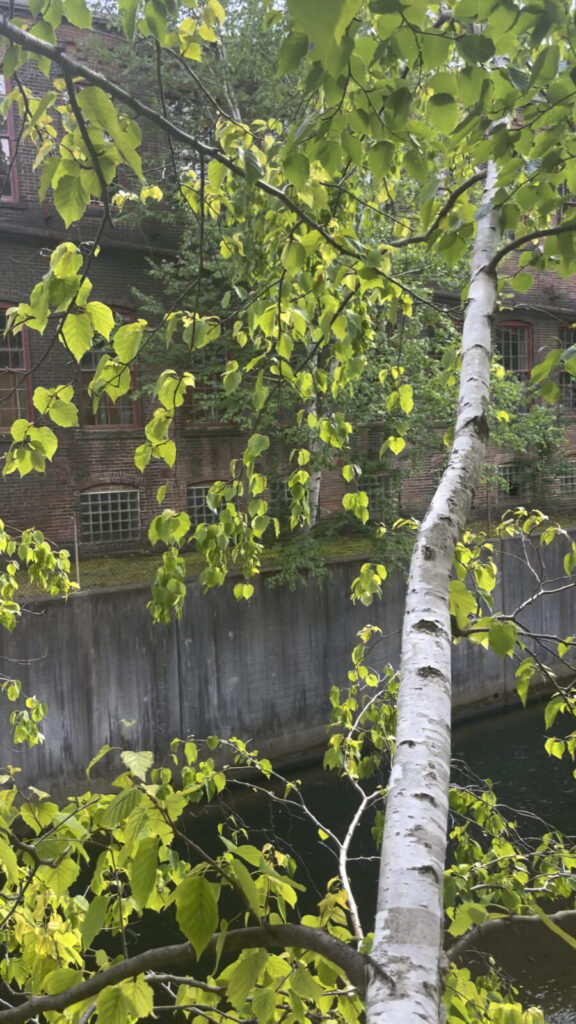 Cement flood chutes encase the Hoosic River in the courtyards at Mass MoCA in North Adams.