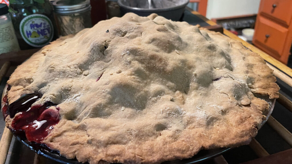 A blueberry pie cools on the counter.