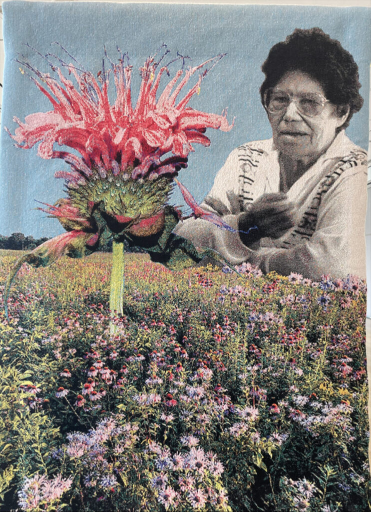 Ella Besaw, an elder of the Stockbridge Munsee community of the Mohican Nation, gathers wild bergamot in in Carolina Cayedo's 'We save our seeds for the following season' at the Clark Art Institute.