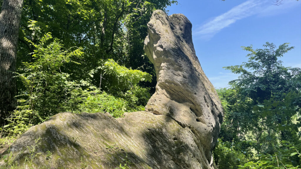 A rock formation in dun-colored stone sits like a giant rabbit in the sun at Tyringham Cobble.